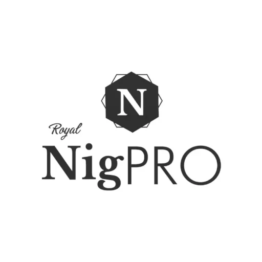 cropped-Nigpro-Logo-WebP.webp cropped-Nigpro-Logo-WebP.webp